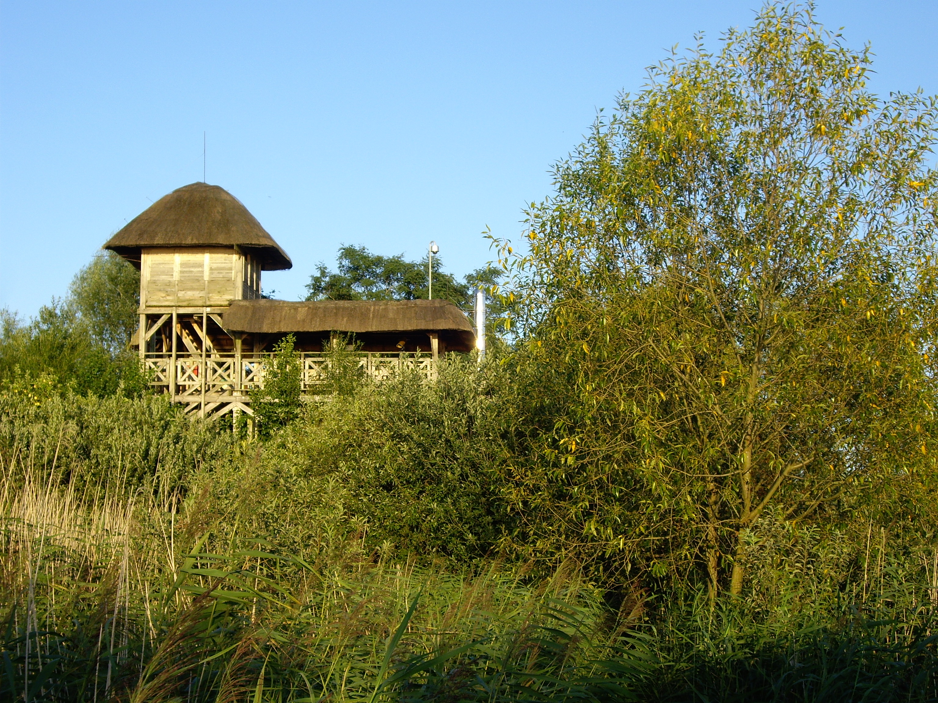 Swidwie Lake Nature Reserve